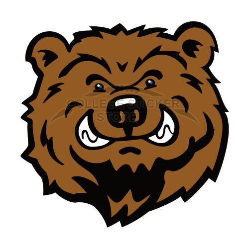 Diy UCLA Bruins Iron-on Transfers (Wall Stickers)NO.6639